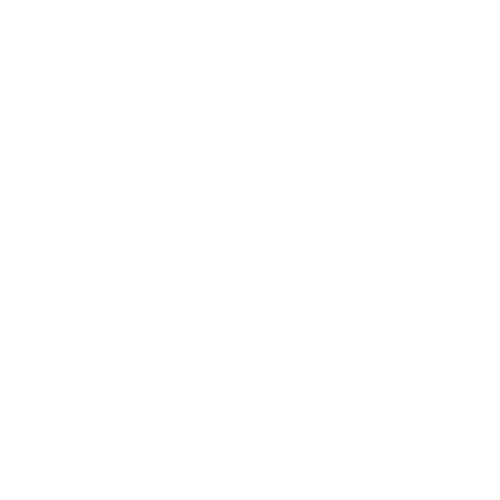 Wordpress-Agentur-Hamburg-Webiste-Elite